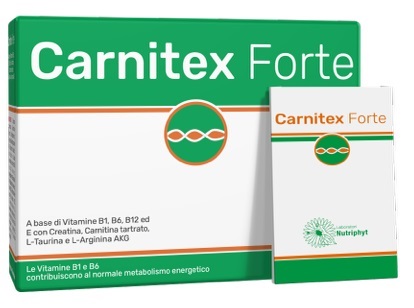 CARNITEX FORTE 14 BUSTINE - Angeli Pharm